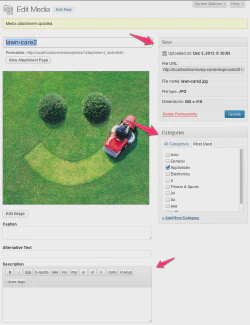 WordPress 3.5 Media Editor with the Category taxonomy enabled for the attachment post type.
