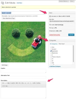 WordPress 3.5 Media Editor with the Category taxonomy enabled for the attachment post type.